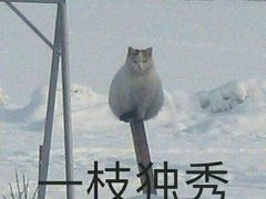 -明月虾面(厦禾路店)