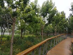 -东郊湿地公园