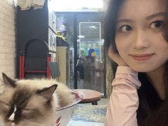 -平行世界·猫咖(首经贸店)