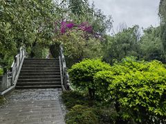 -洱海月湿地公园