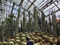 -南山植物园