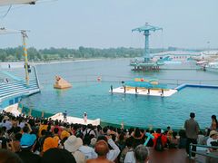 -秦皇岛乐岛海洋王国