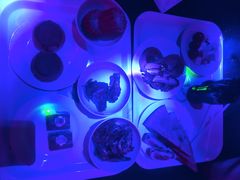 -萧邦音乐会所KTV·蒸汽活海鲜自助(福田店)