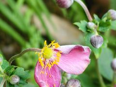 -华蓥山天意谷景区