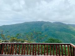 -三亚亚龙湾人间天堂鸟巢度假村