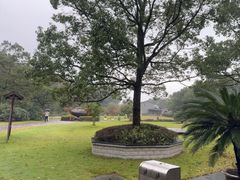 -陶祖圣境风景区