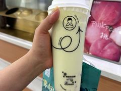 -雾与山茶(大禹城店)
