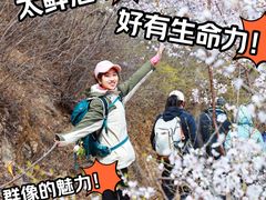 -龙泉峪长城