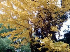 -南京特殊教育师范学院(燕子矶校区)