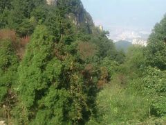 android_upload_pic-大罗山风景区