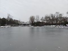 -沙澧河风景区