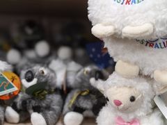 -费瑟代尔野生动物园