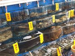 -渔中舟海鲜大排档(普陀沈家门店)