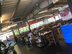 大堂-百利鸽王(紫薇路店)