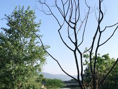-三垟湿地