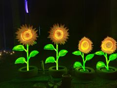 -枫花园汽车电影院(朝阳公园店)