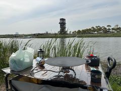 -春花秋色城市公园