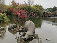 -棠湖公园