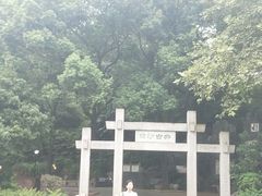 -白沙古井
