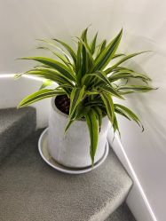 点击看大图 -天使妈妈产后康复中心(万宝店)