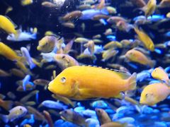 -成都浩海立方海洋公园