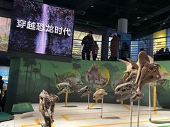 -国家自然博物馆