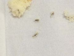 -津门刘记清真糕点(民族楼店)