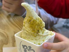 -野人先生Gelato(上海长宁龙之梦店)