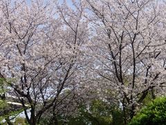 -昆山城市公园