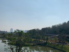 -王借岗森林公园