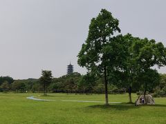 -宜兴龙背山森林公园