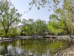 -玲珑塔公园