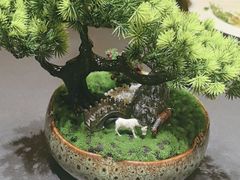 -曼格纳·曼芯馆(杨浦店)