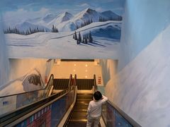 -长沙湘江冰雪世界