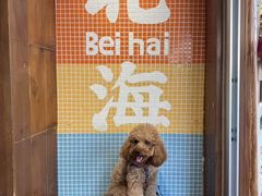 -椰椰大吉(侨港店)