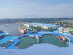 -秦皇岛乐岛海洋王国