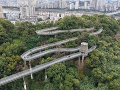 -福道