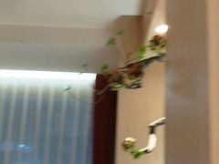 -鱼你相聚·河鲜馆(袁家岭店)