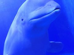 -多彩贵州城极地海洋世界