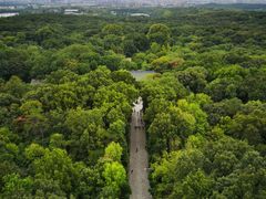 -灵谷景区