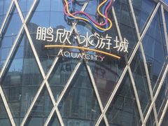 -鹏欣水游城