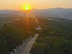 -原山国家森林公园