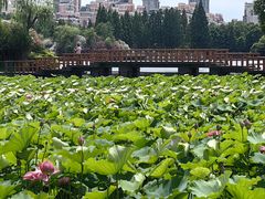 -黄兴公园