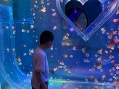 -南昌融创海世界