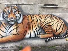 -槟城街头艺术街区