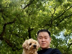 -杨家堂村