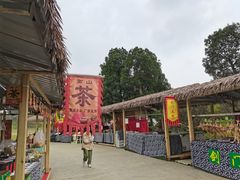 -秀丽东方