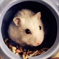 点击看大图 -悦芳庭美肤美体品牌集合店