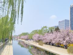 -元大都城垣遗址公园