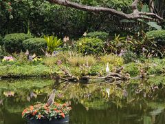 -深圳仙湖植物园